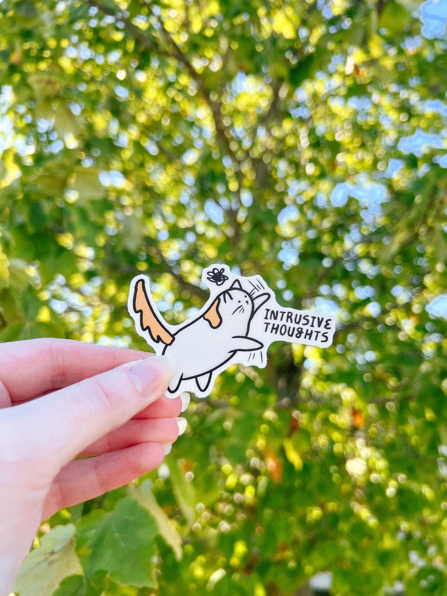 OCD Cat Sticker