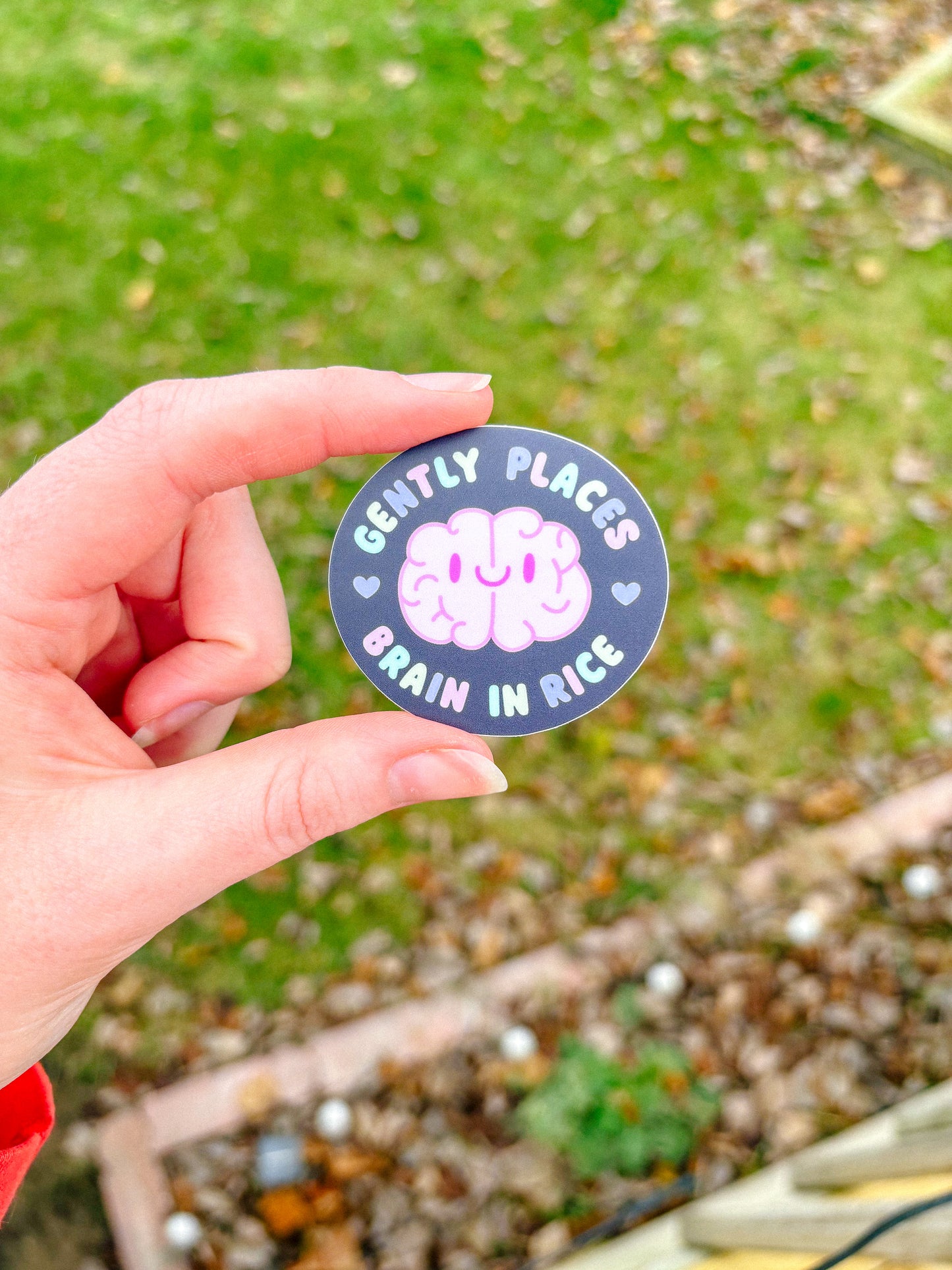 Brain in Rice Sticker