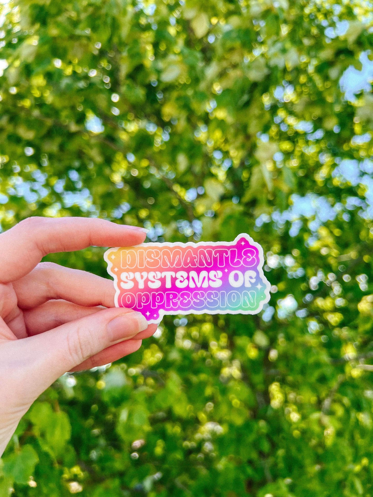 Dismantle Systems of Oppression Sticker