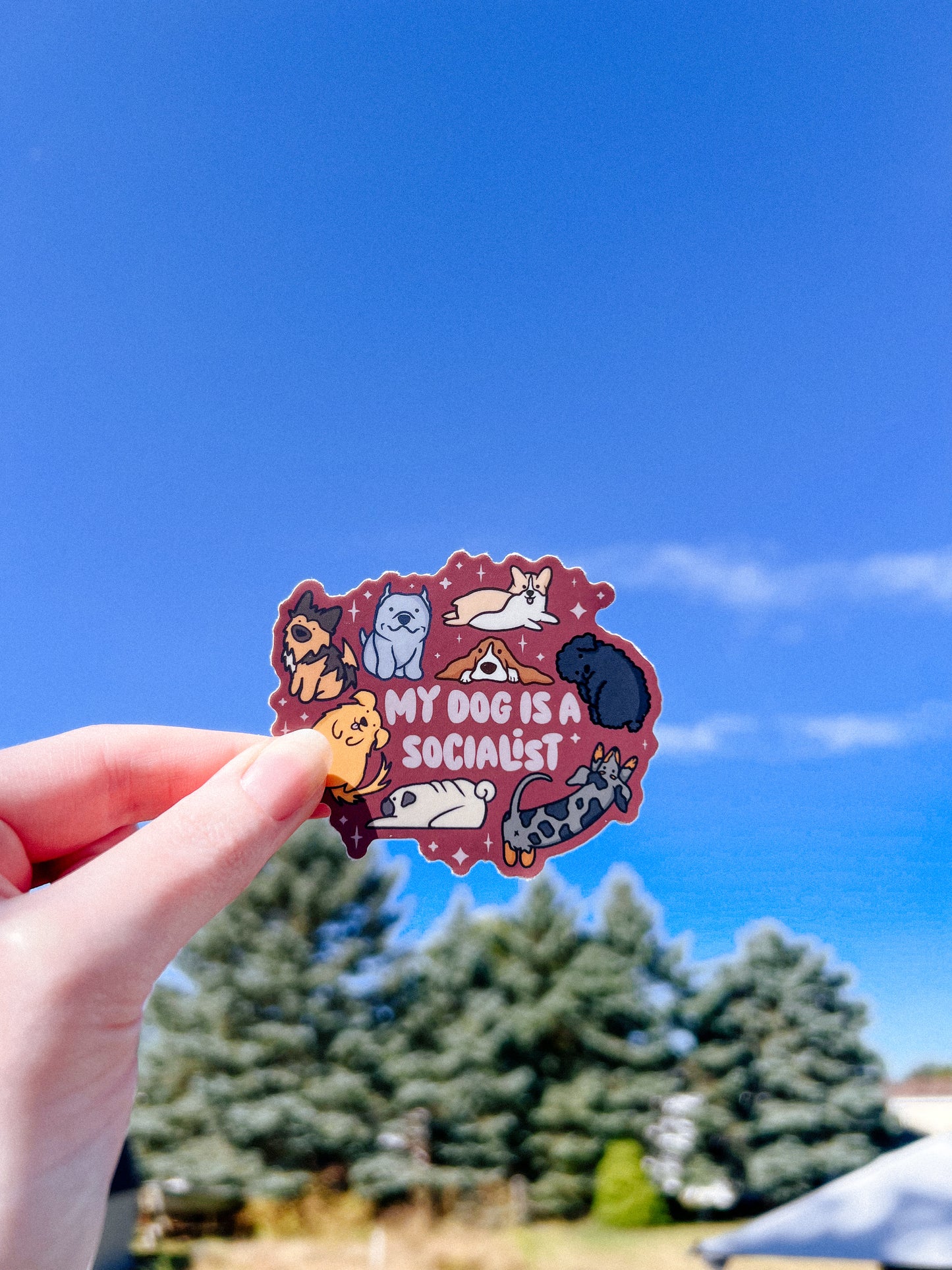 My Dog is a Socialist Sticker