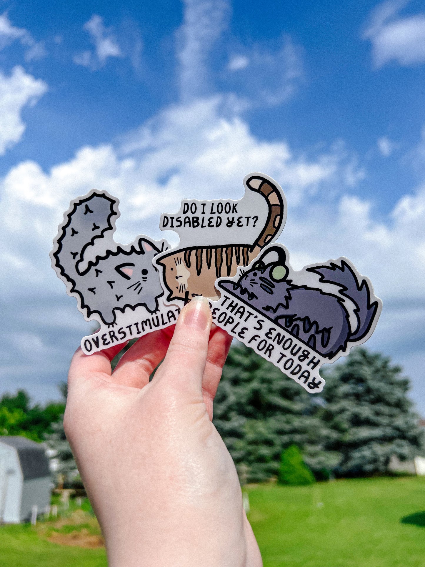 Mystery Sticker Pack