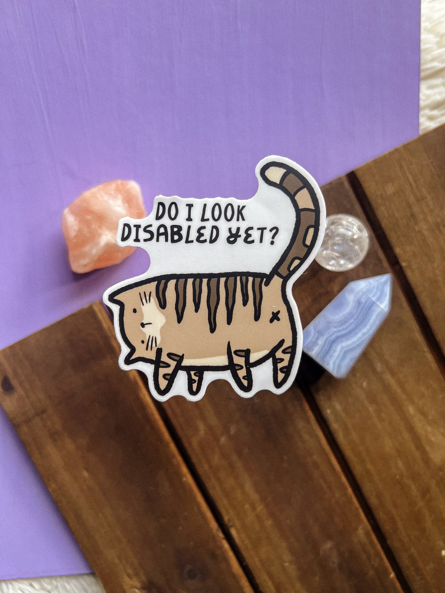 Do I Look Disabled Yet Cat Sticker