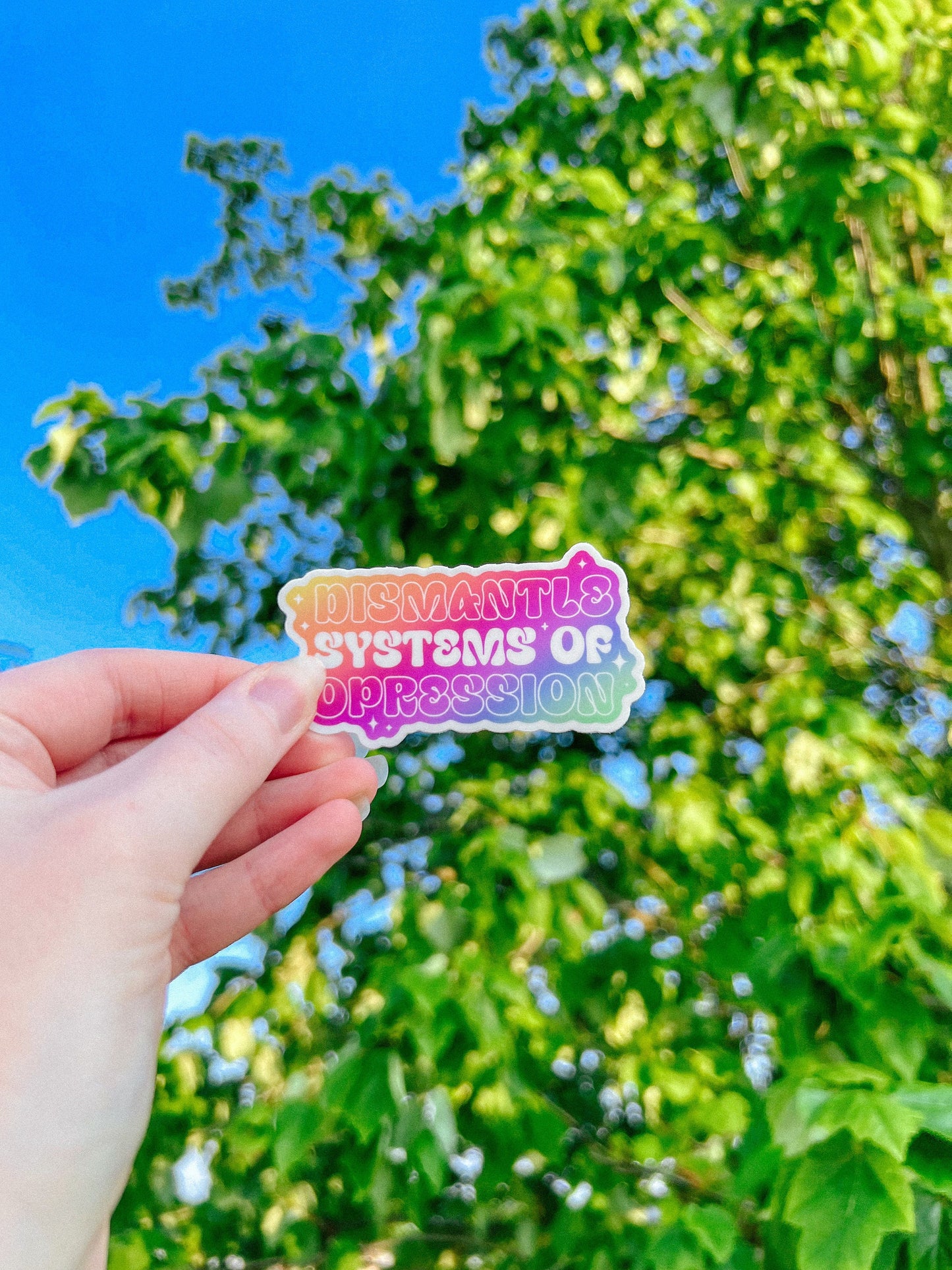 SPELLING MISTAKE Dismantle Systems of Oppression Sticker