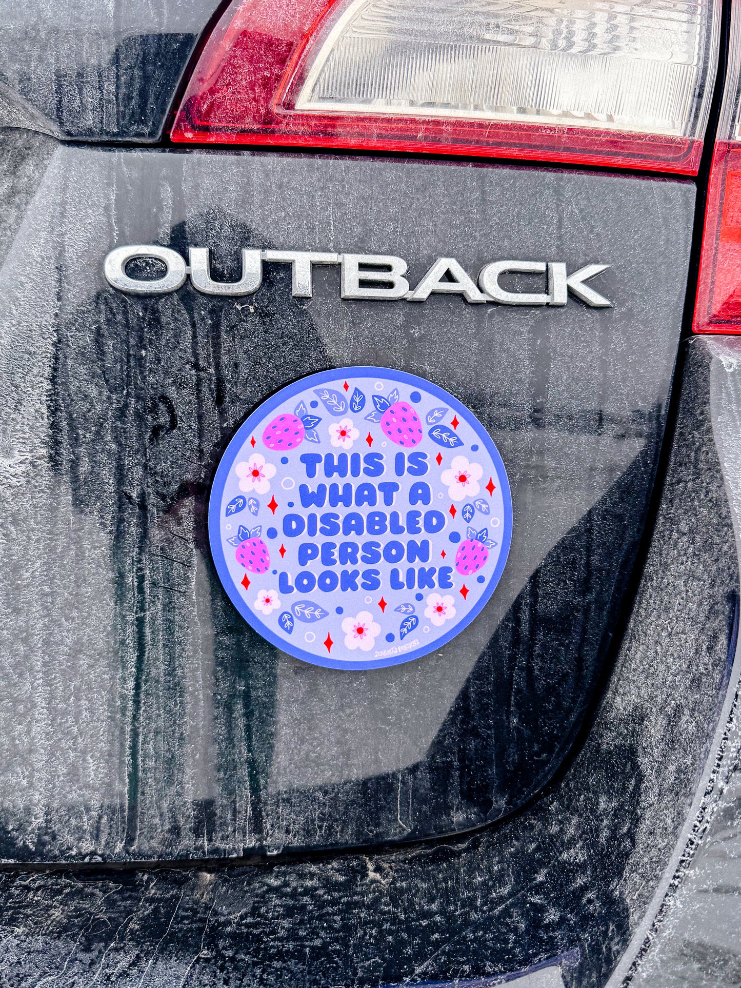 This is What a Disabled Person Looks Like Bumper Sticker/Magnet