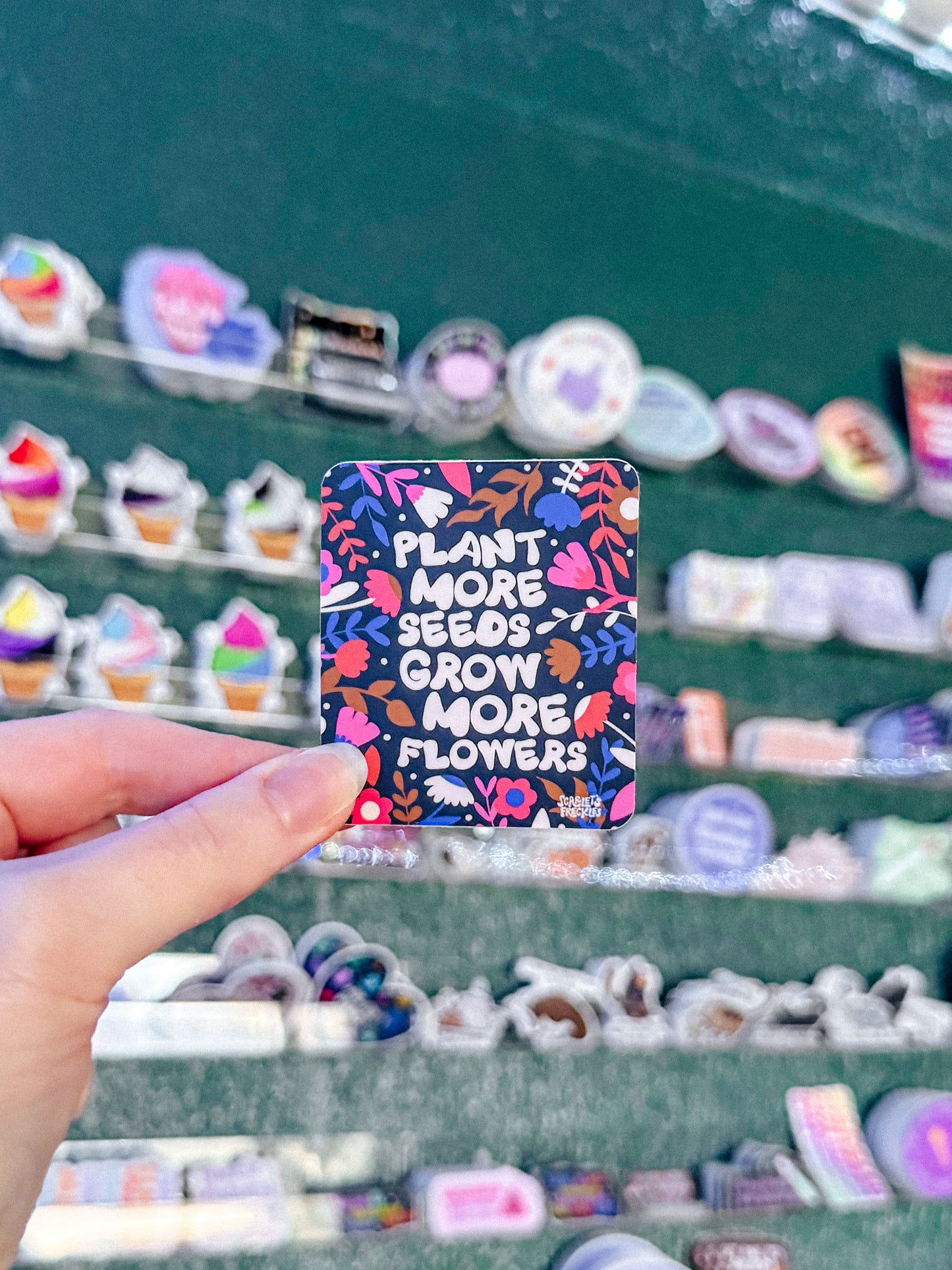 Plant Seeds Grow Flowers