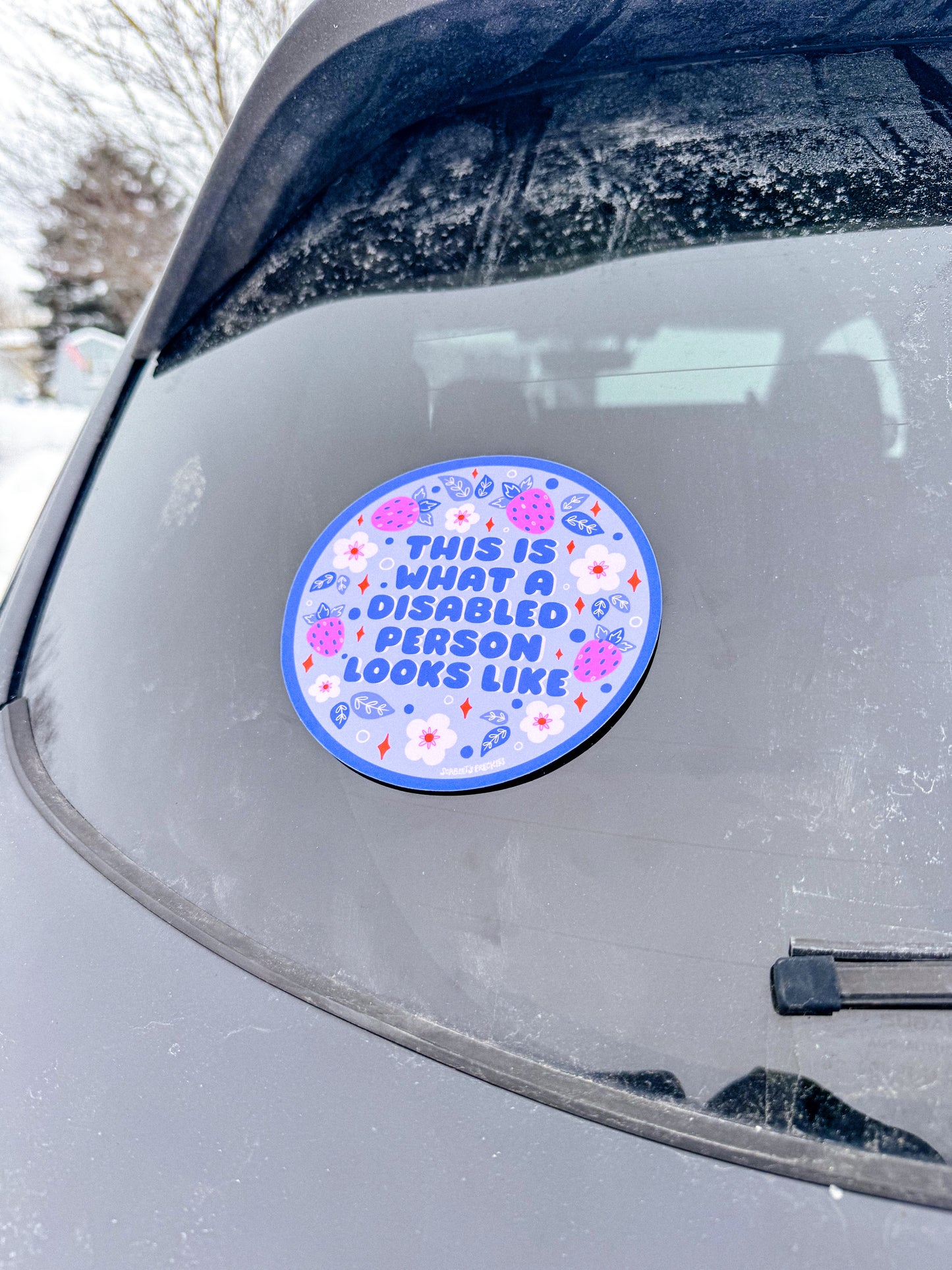 This is What a Disabled Person Looks Like Bumper Sticker/Magnet