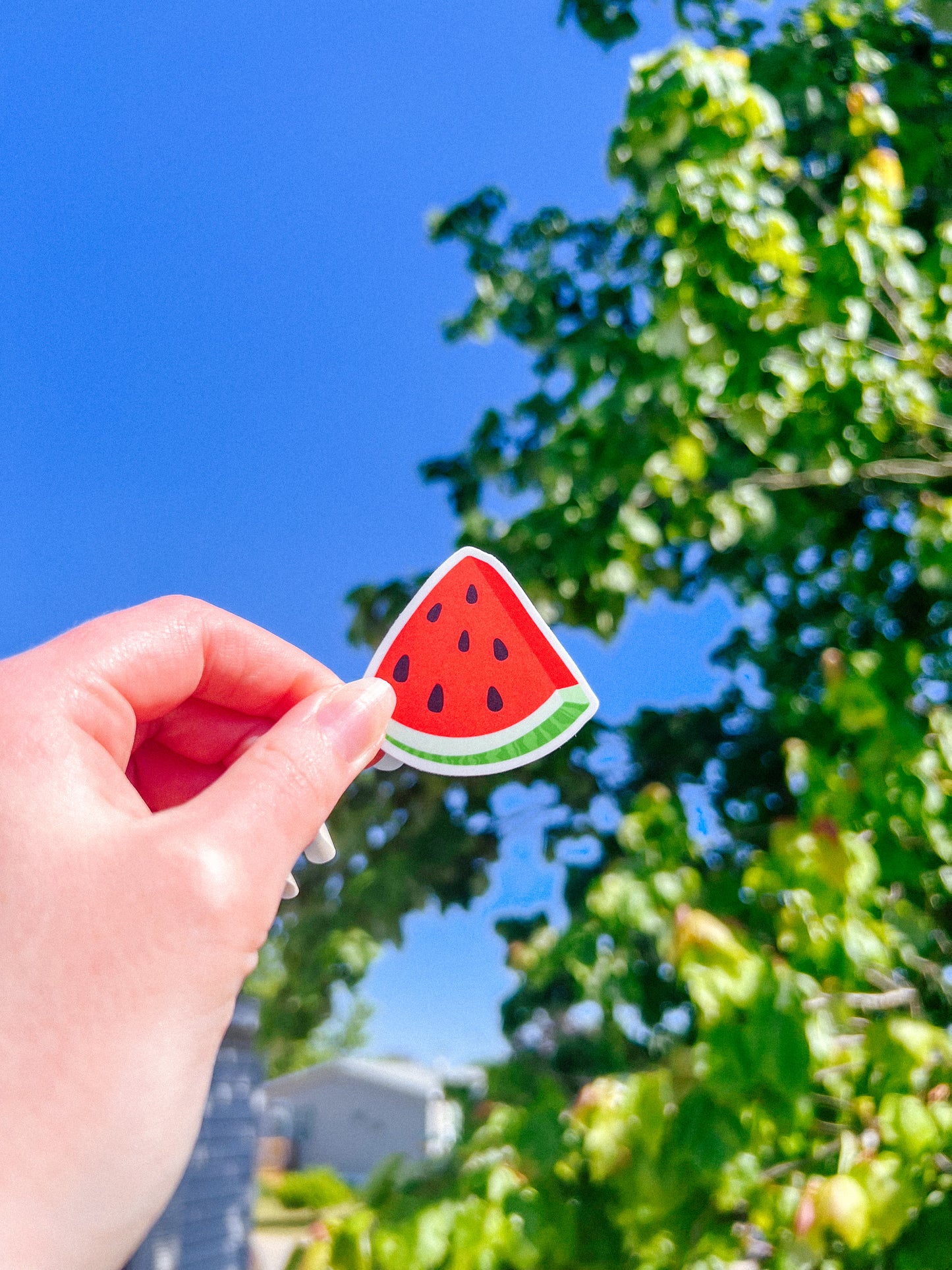 Watermelon Charity Sticker